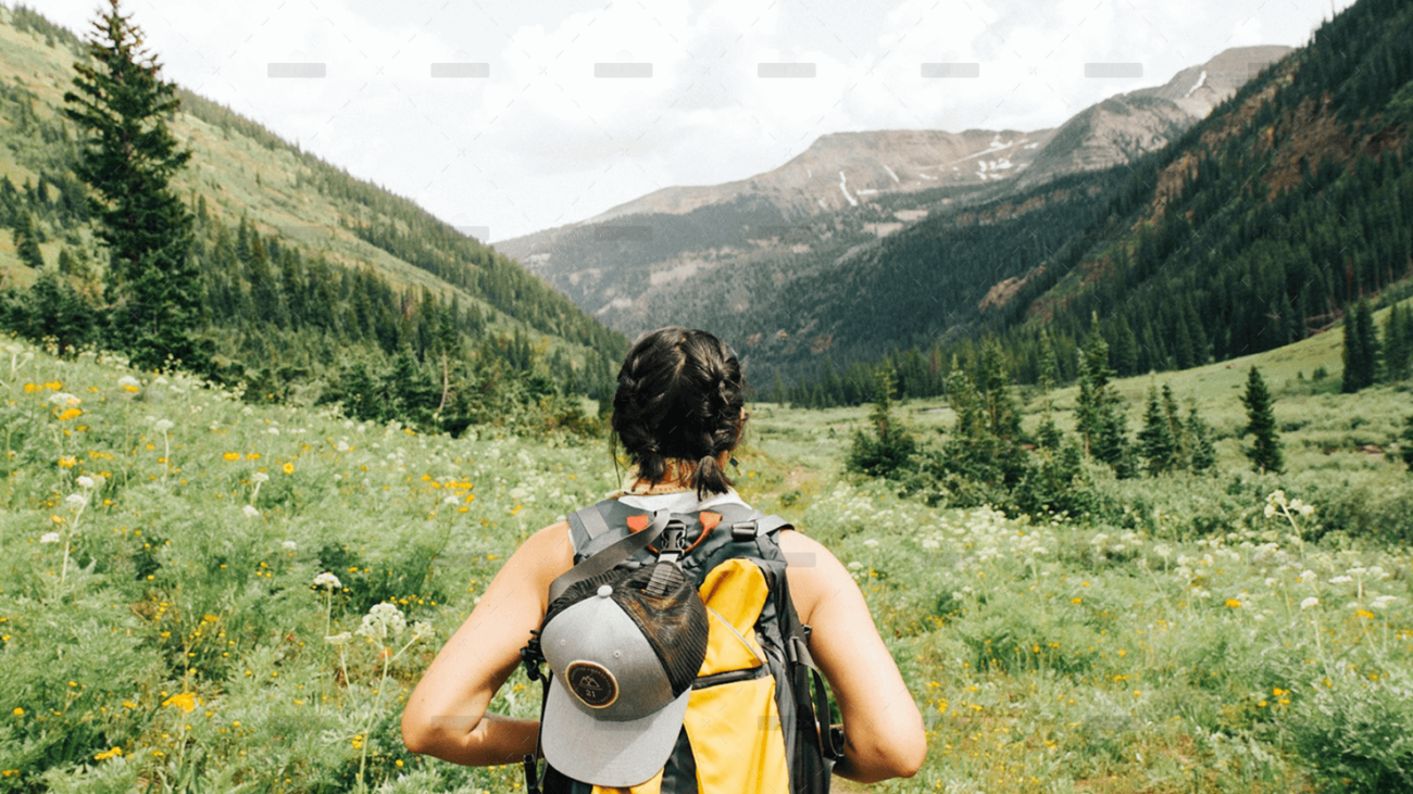 demo-attachment-1314-dave-hoefler-zN7wRrxXjik-unsplash-1-2-1