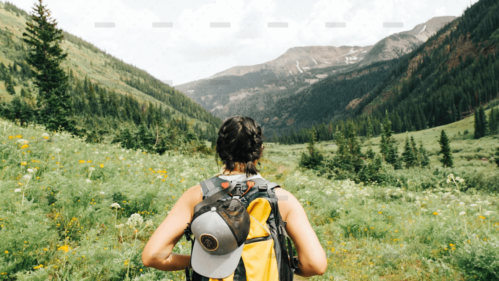 demo-attachment-1314-dave-hoefler-zN7wRrxXjik-unsplash-1-2-1
